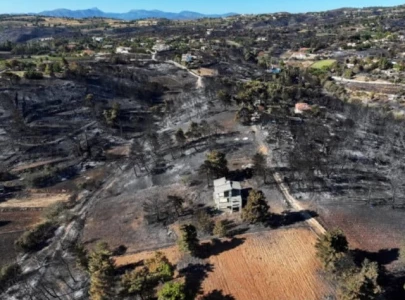 greek wildfire near athens eases after one death
